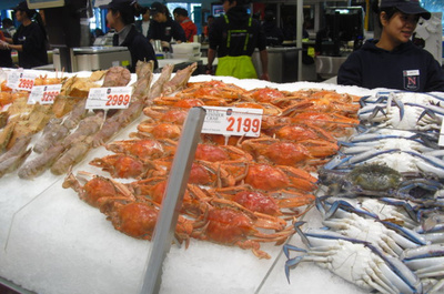 2015年悉尼水產(chǎn)品市場回顧 人潮涌動的海鮮盛宴